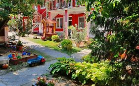 Apartmány Viola